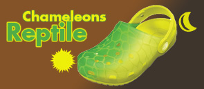 ...zum Kids Chameleons Reptile!
